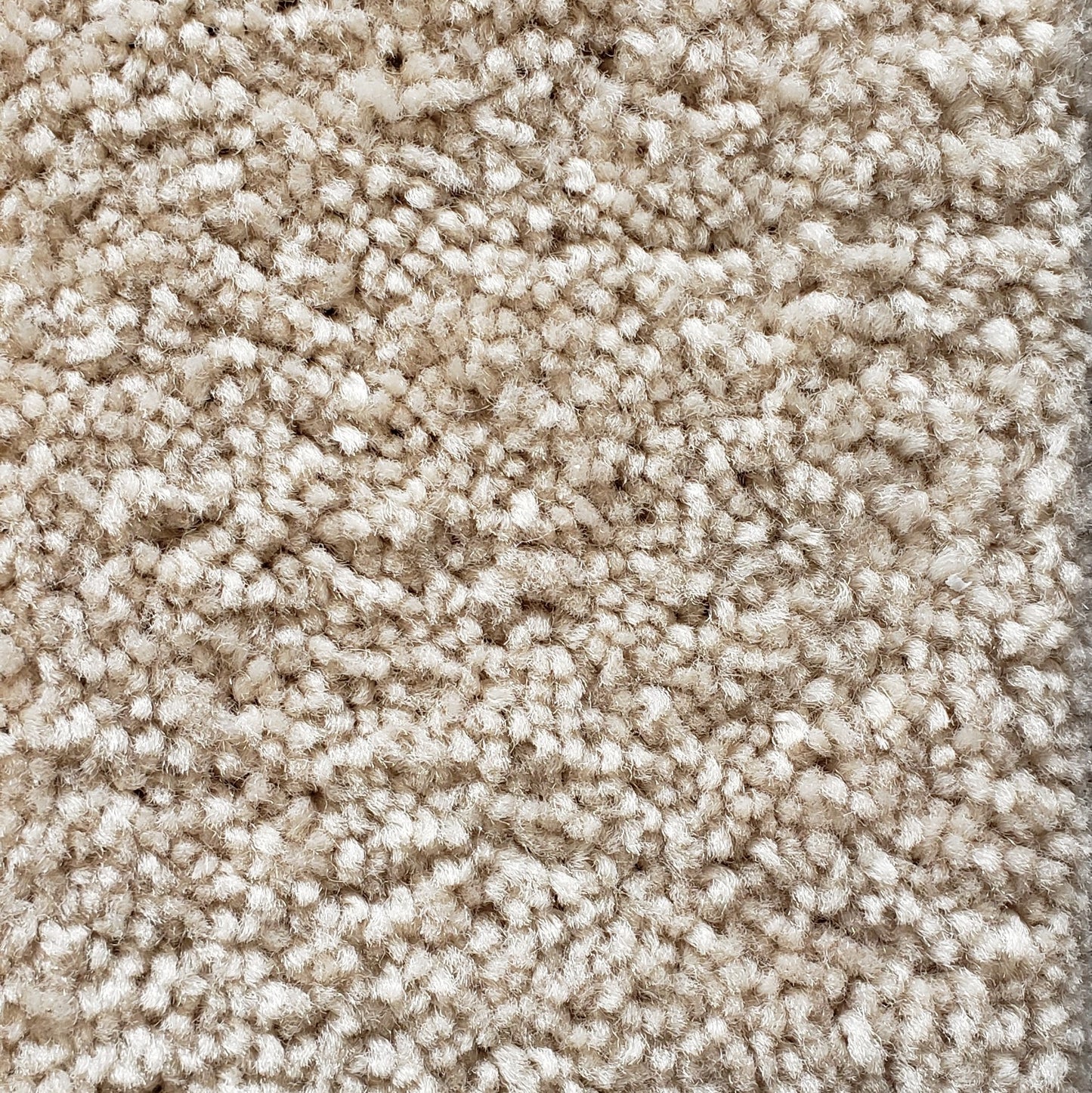 Mohawk SP344 #07 Carpet
