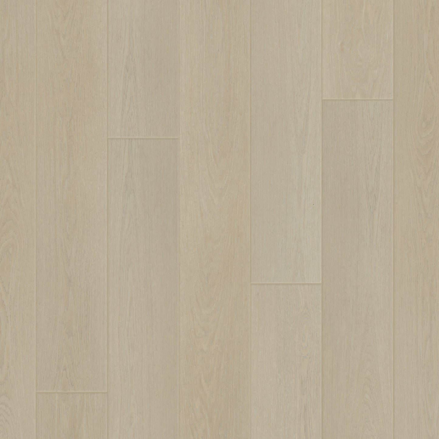 Innsbruck Oak