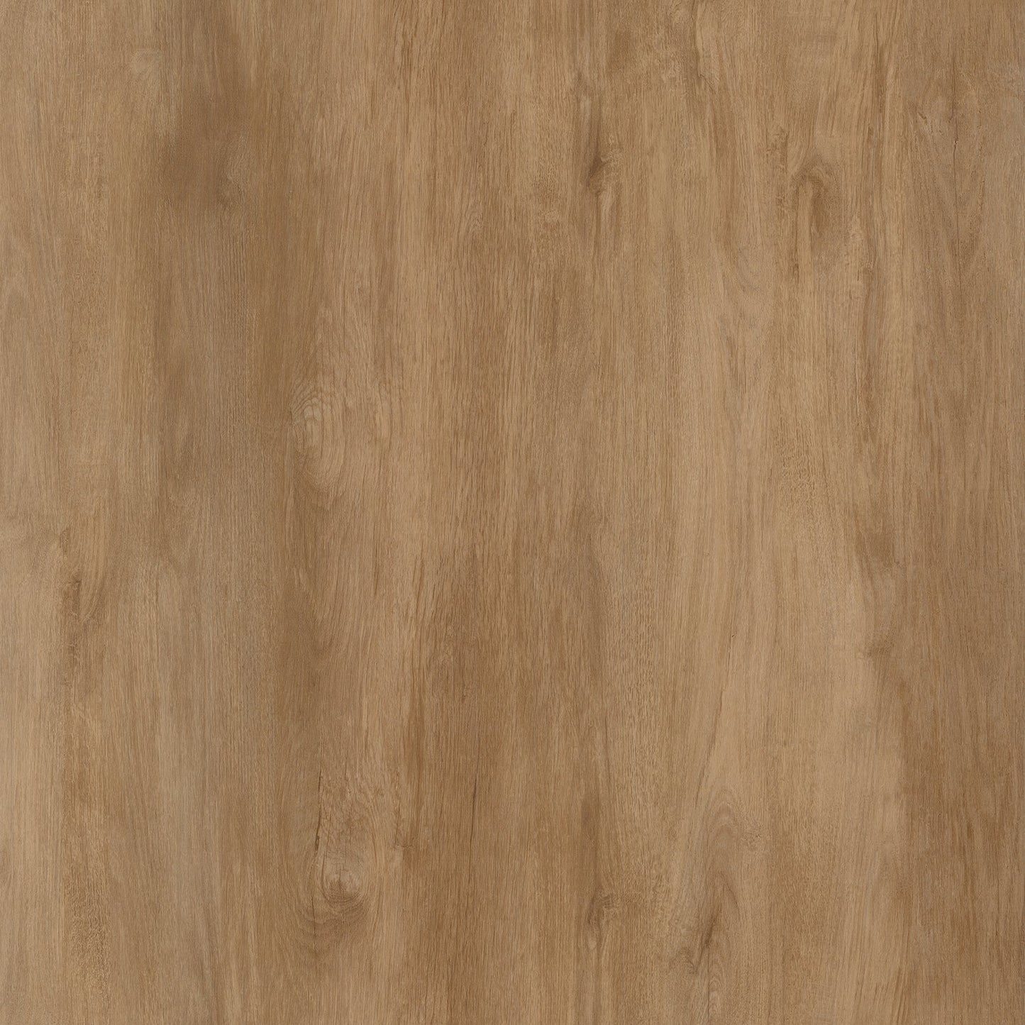 Warm neutral brown color hardwood Coastline - Amalfi luxury vinyl plank floor