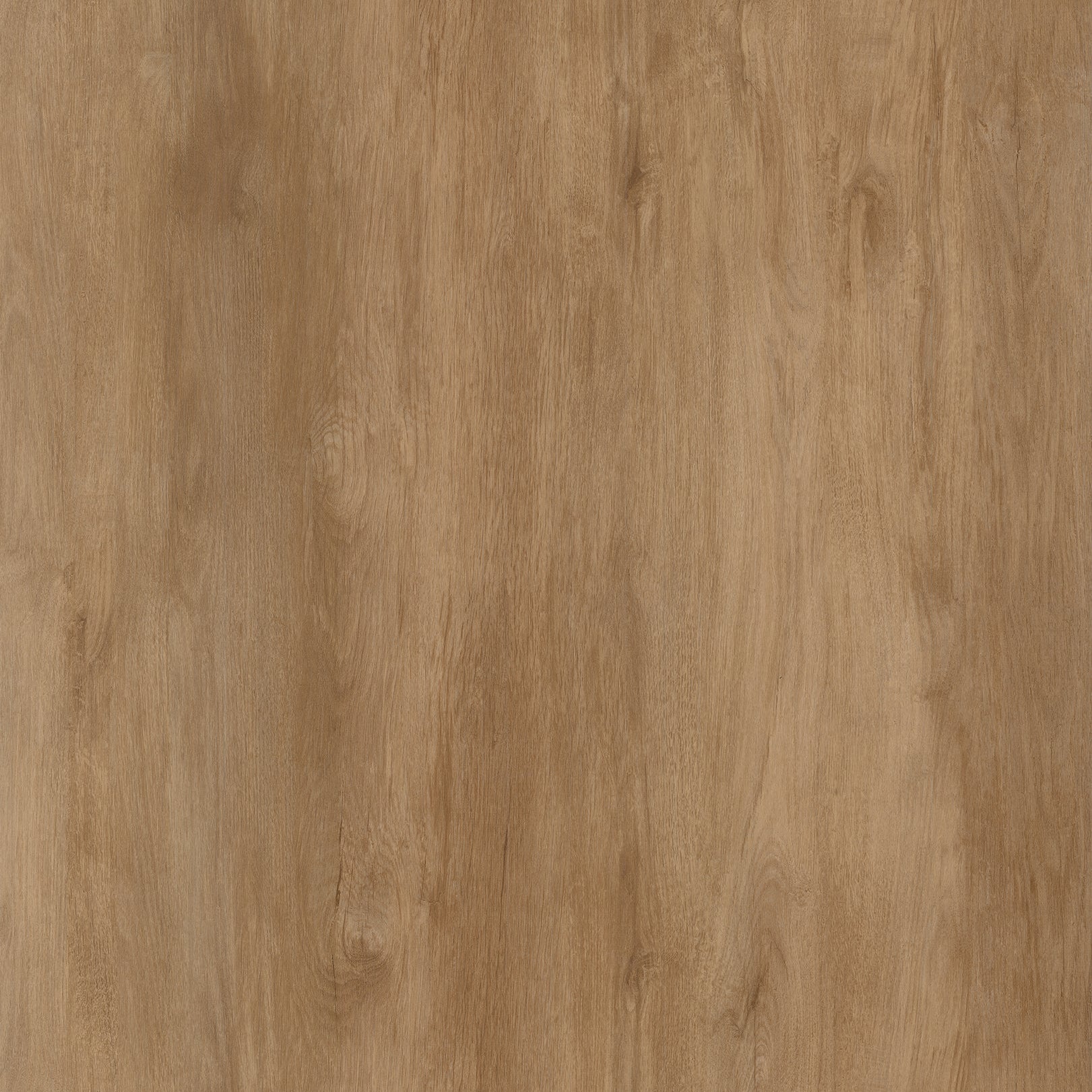 Warm neutral brown color hardwood Coastline - Amalfi luxury vinyl plank floor