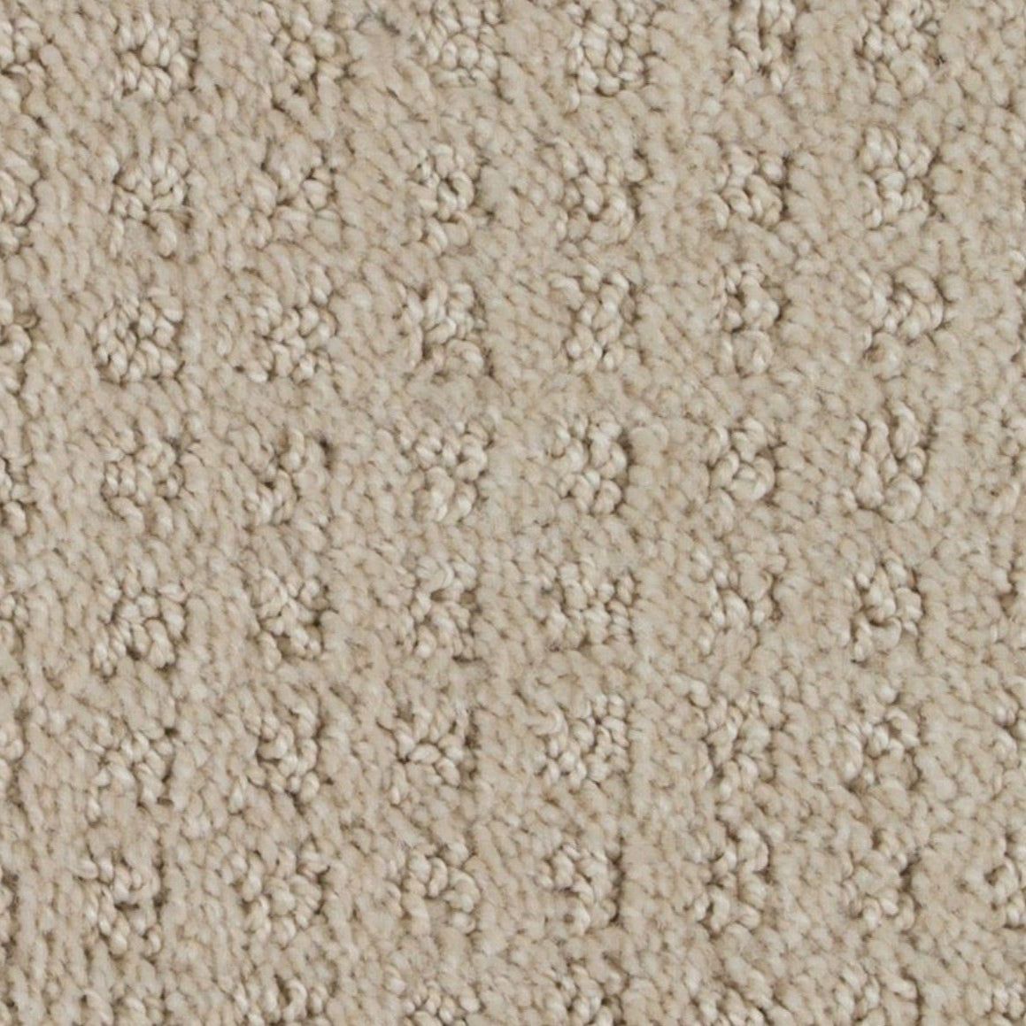 Beaulieu Basenji Tender Taupe Carpet