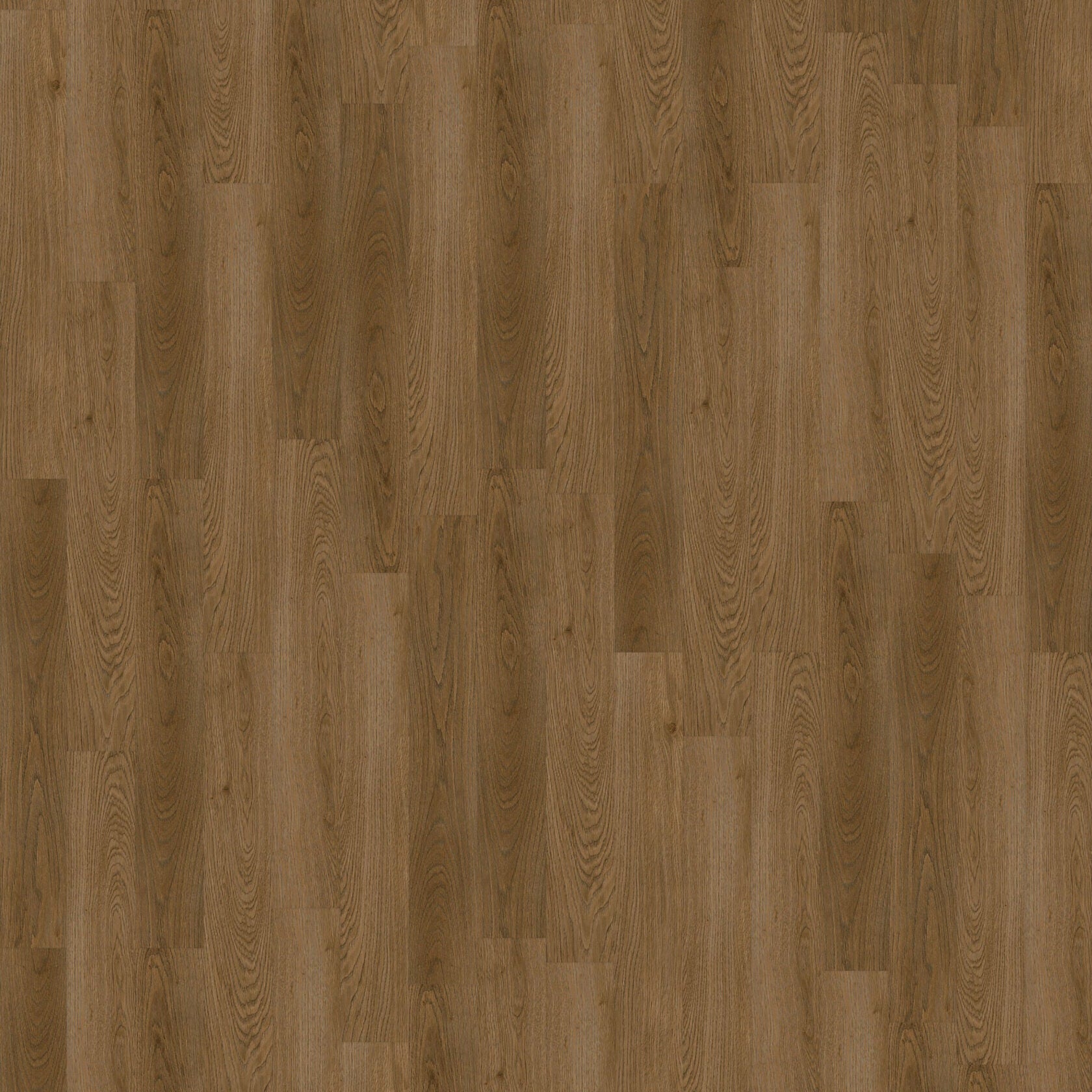 Close-up of natural stain wood floor with neutral light brown Coastline - Cape Verde luxury vinyl plank floor