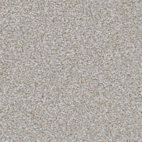 Top Dog Griffon Carpet
