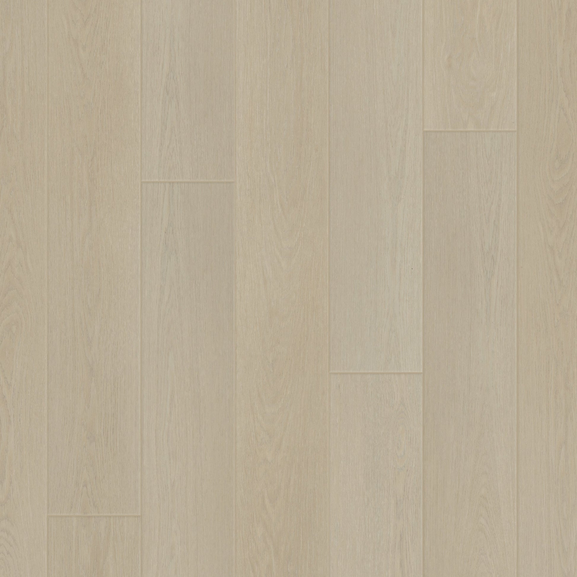Innsbruck Oak
