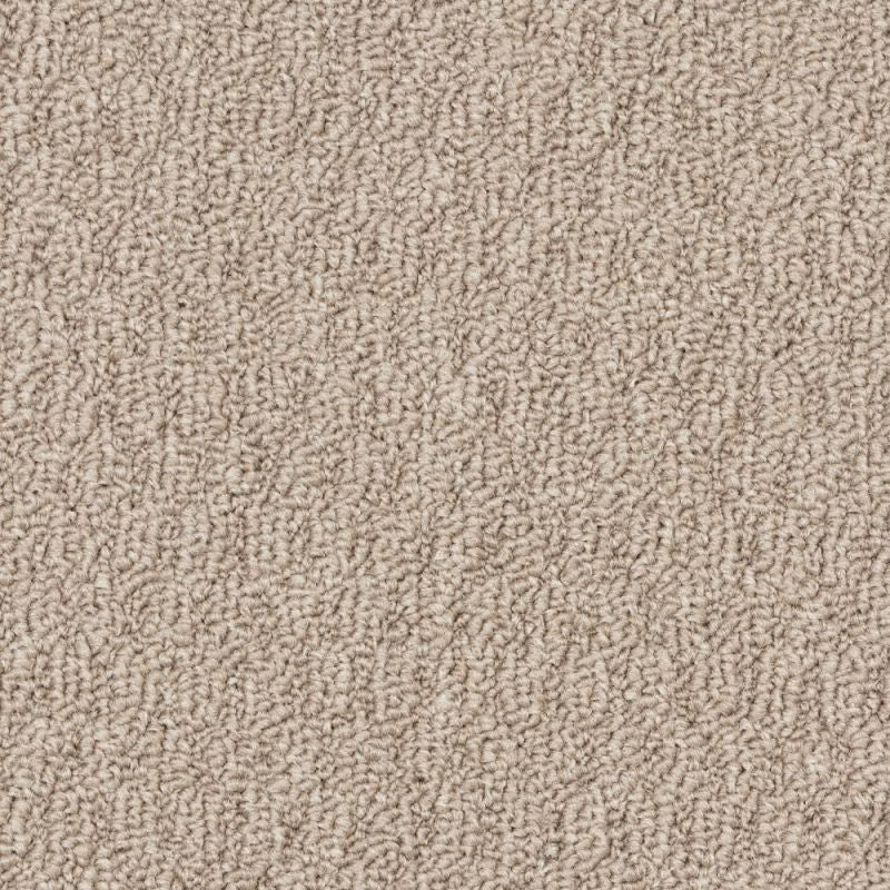 Beaulieu SP-6423 Burnt Leaf Carpet